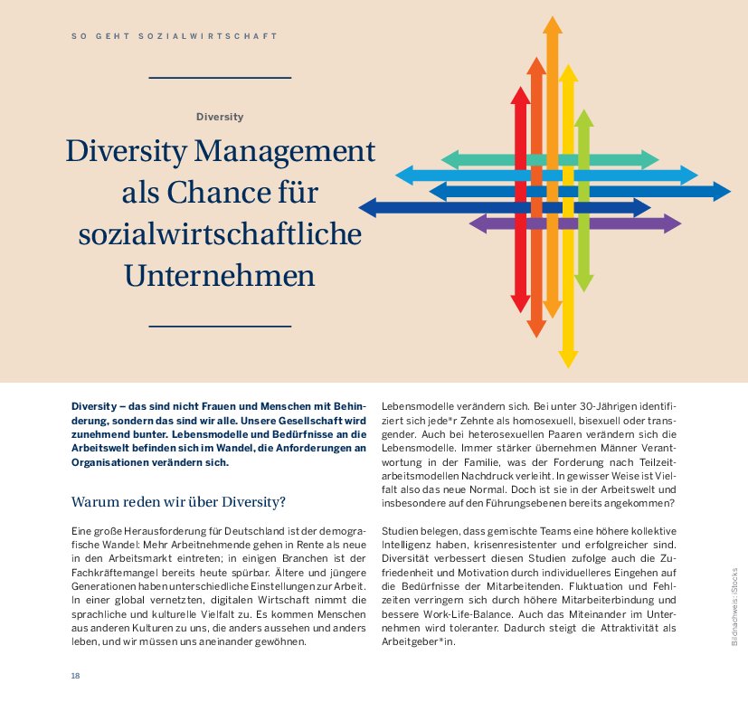 Sally Maria Ollech: Diversity-Management als Chance für sozialwirtschaftliche Unternehmen (Sozialus 2/20)
